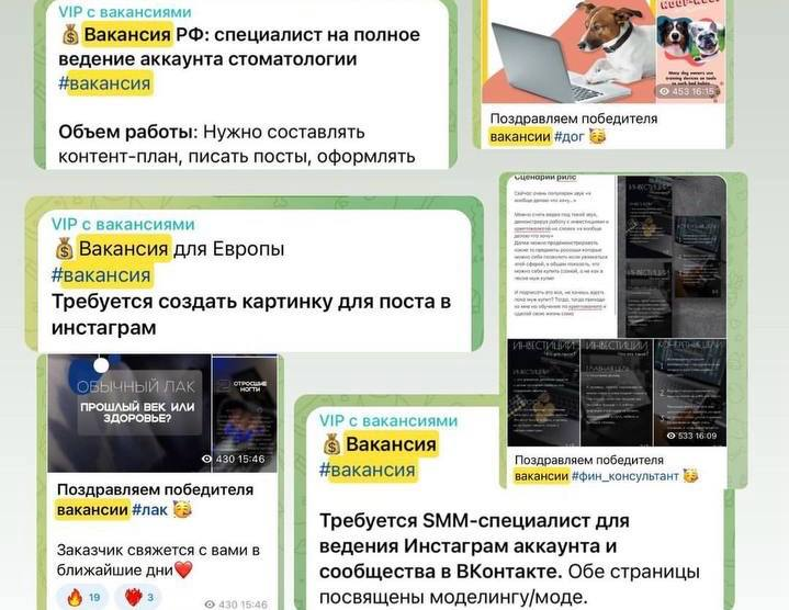 Примеры вакансий для учеников